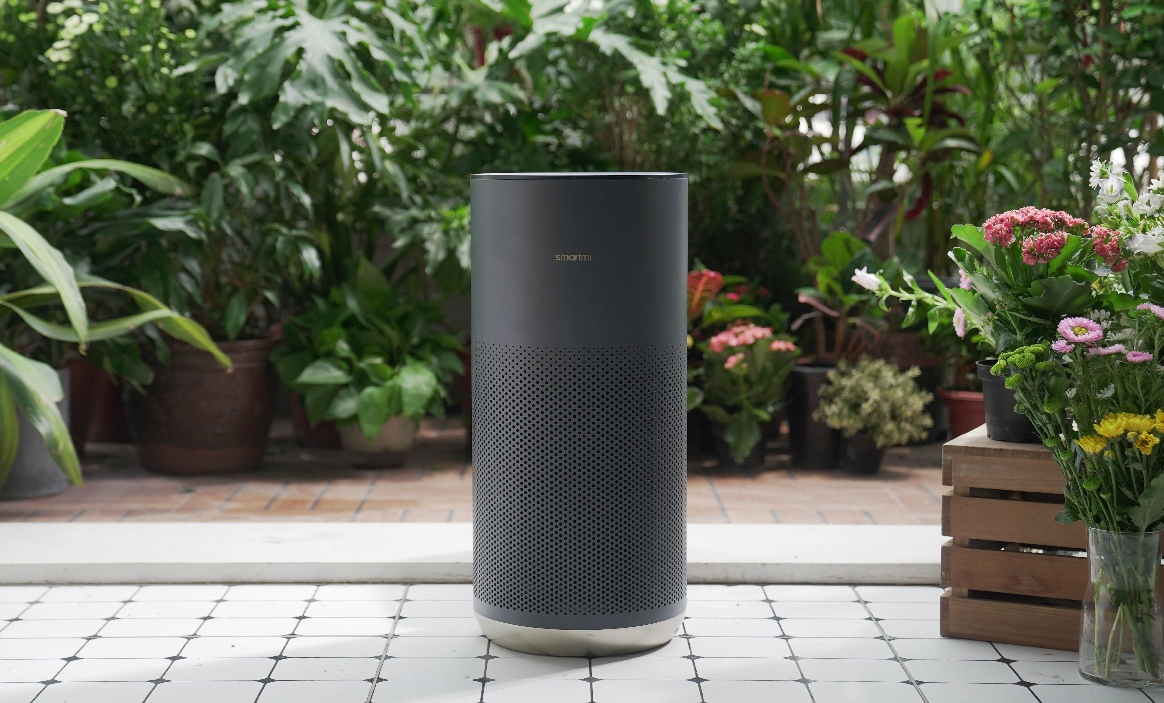 What is Pollen Allergy and How Do Smartmi Air Purifiers Provide Real-Time Relief? Your Guide to Tackling Seasonal Allergies Head-On!