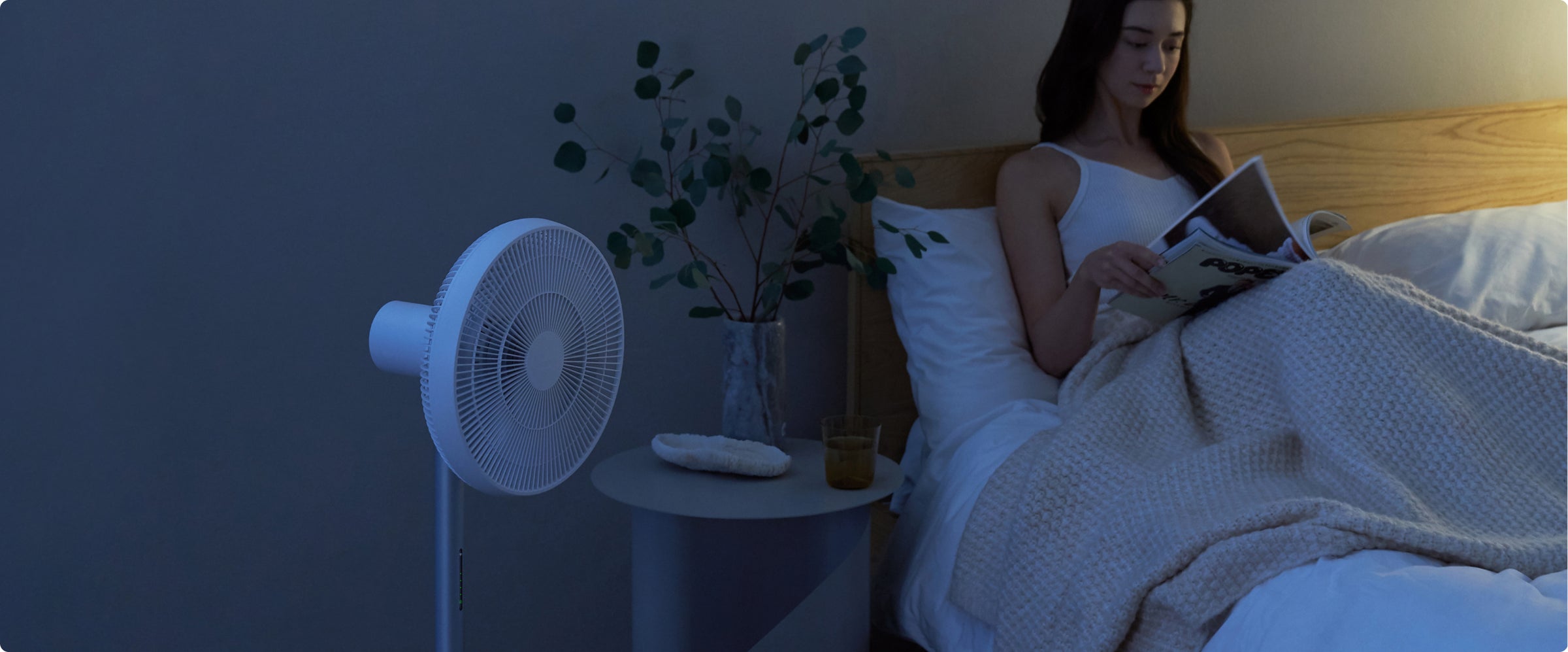 Smartmi Store | Smartmi Standing Fan 3 - Smart Version - smartmi EU