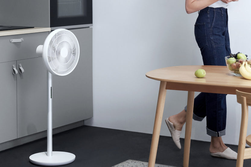 Smartmi Store | Smartmi Standing Fan 3 - Smart Version - smartmi EU